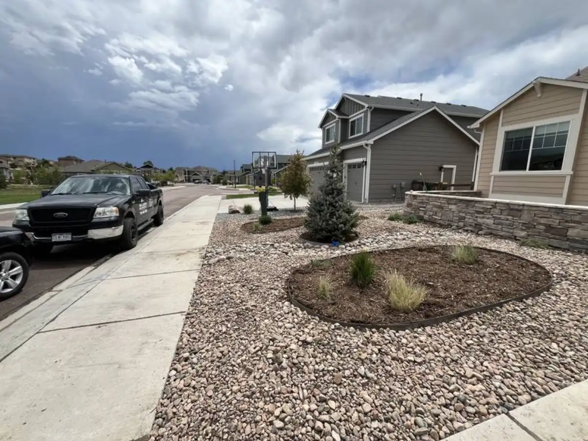Front yard rock landscaping with blue spruce and ornamental grasses in Colorado Springs