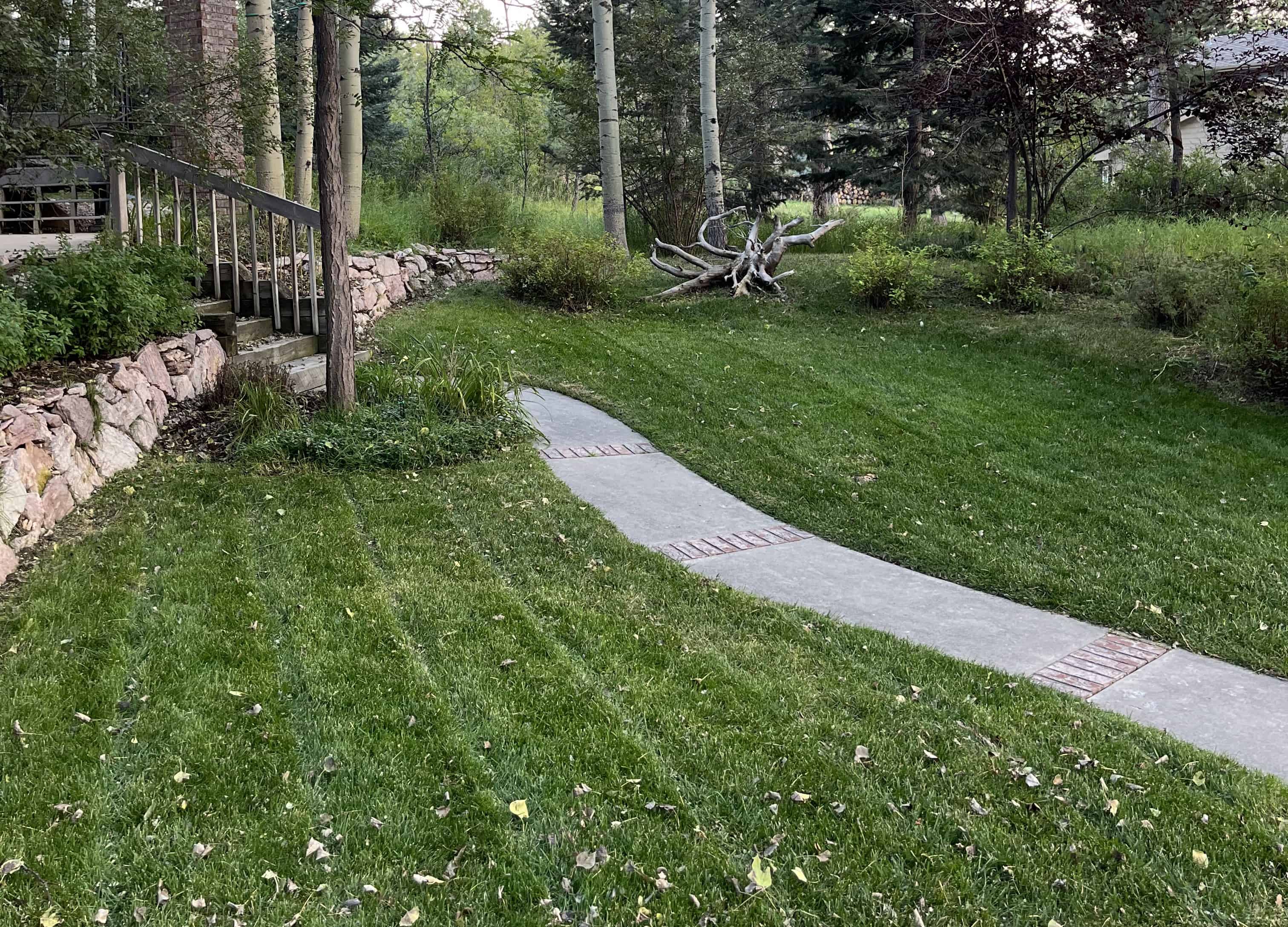 Landscaping professionals at work in East Colorado Springs