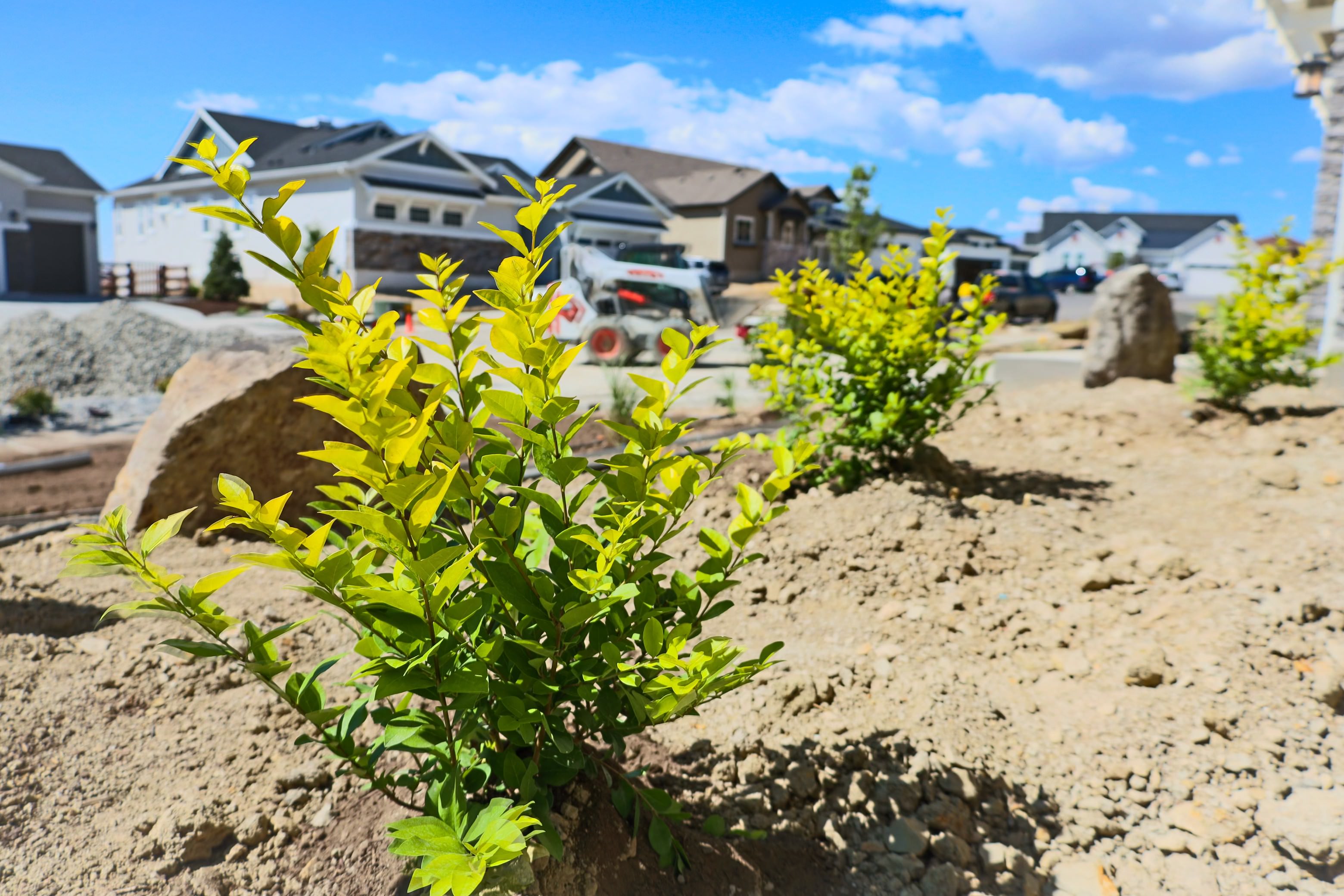 Landscape maintained in Colorado Springs, CO