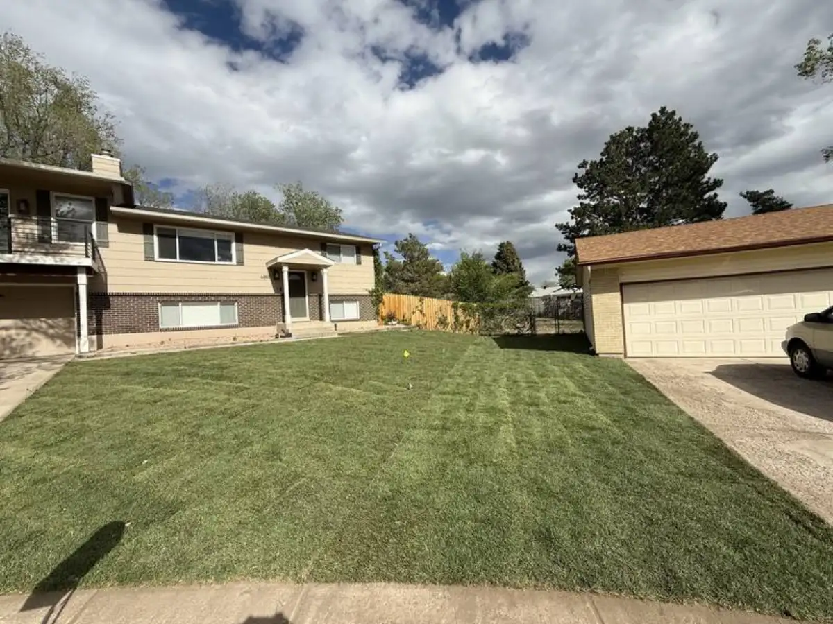 Beautiful fresh sod front yard installed by CN Landscaping in Colorado Springs